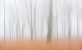 Misty Autumnimpression Poster och Canvastavla