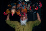 Cock seller Poster och Canvastavla