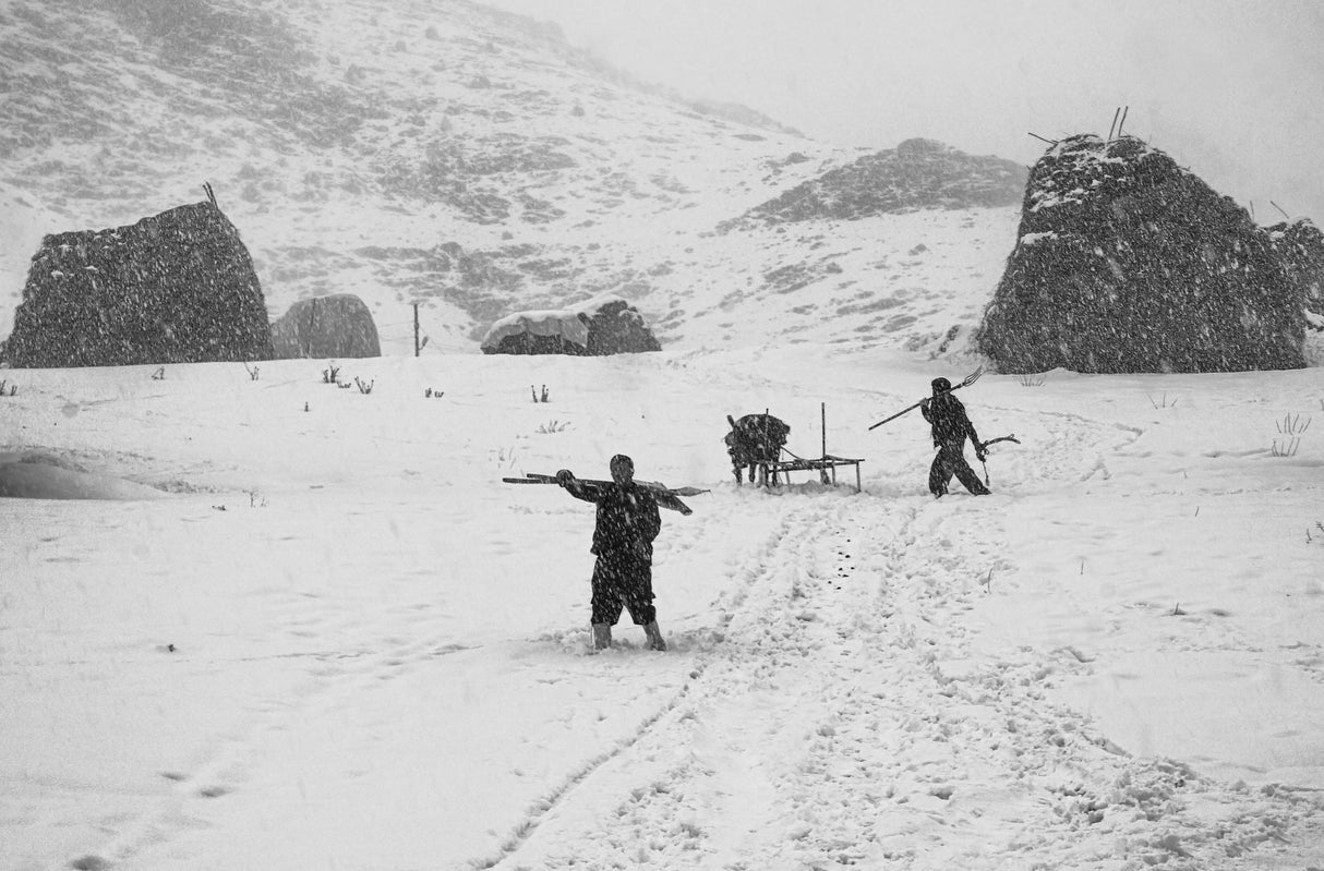 winter in the village Poster och Canvastavla