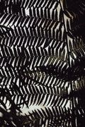 Fern Leaves_2 Poster och Canvastavla