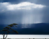 Clouds over lake Naivasha Poster och Canvastavla