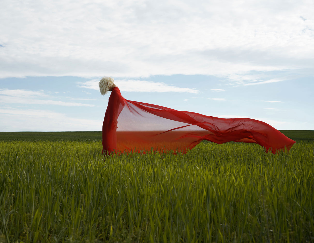 summer wind Poster och Canvastavla