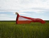 summer wind Poster och Canvastavla