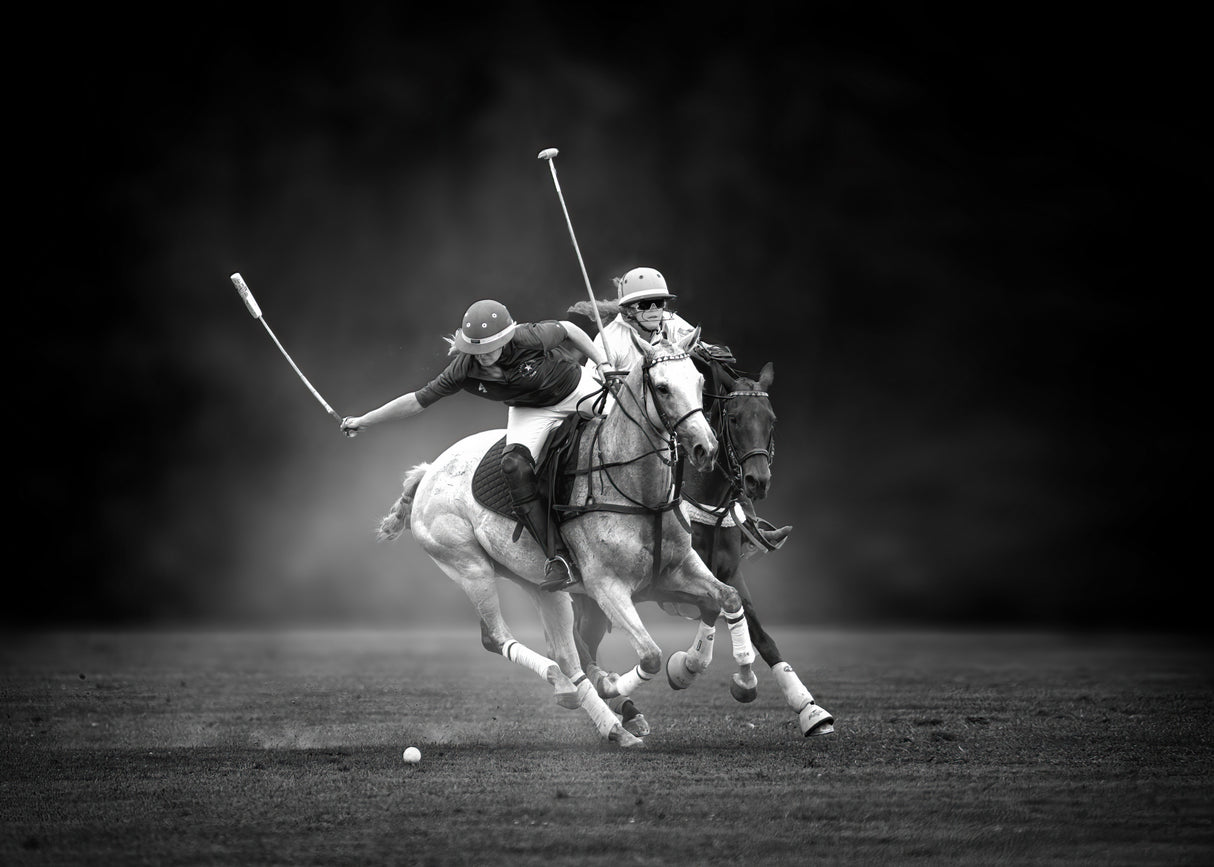Horseback Shooting Poster och Canvastavla