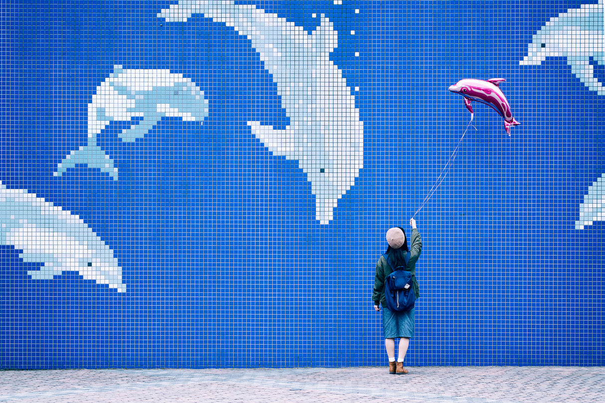 Dolphin Poster och Canvastavla