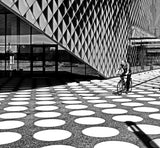 Monochrome shapes Poster och Canvastavla