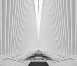 The Oculus Poster och Canvastavla