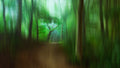 The Blured Forest Path.. Poster och Canvastavla