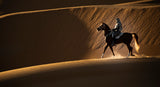 In a desert Poster och Canvastavla