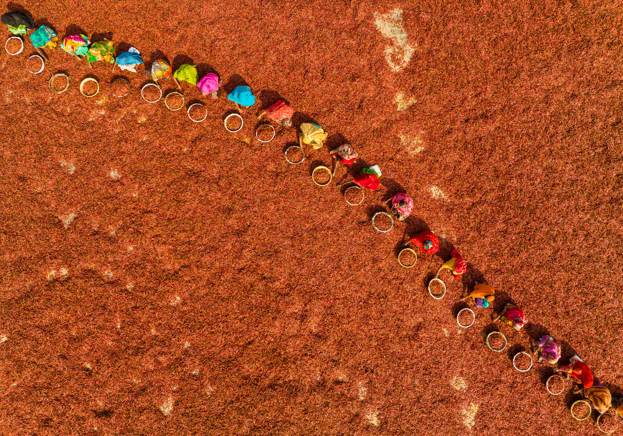 A colorful World Poster och Canvastavla