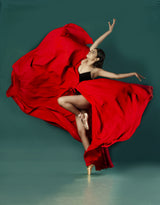 BALLERINA Poster och Canvastavla