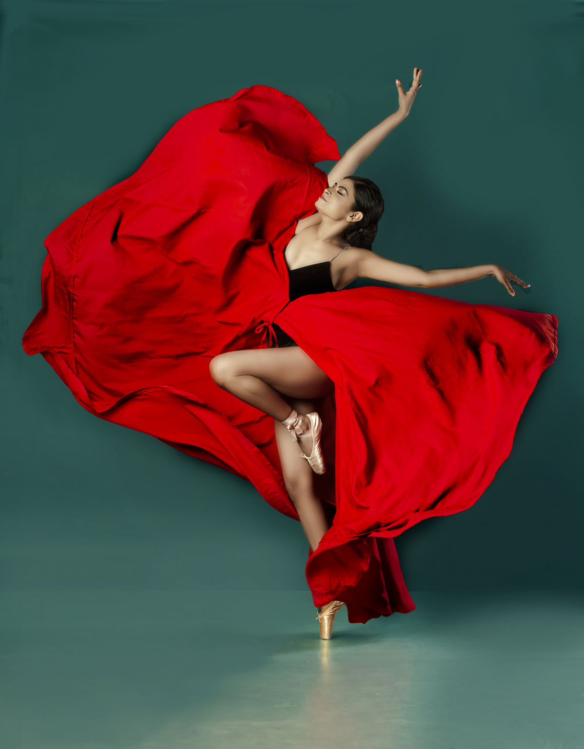 BALLERINA Poster och Canvastavla