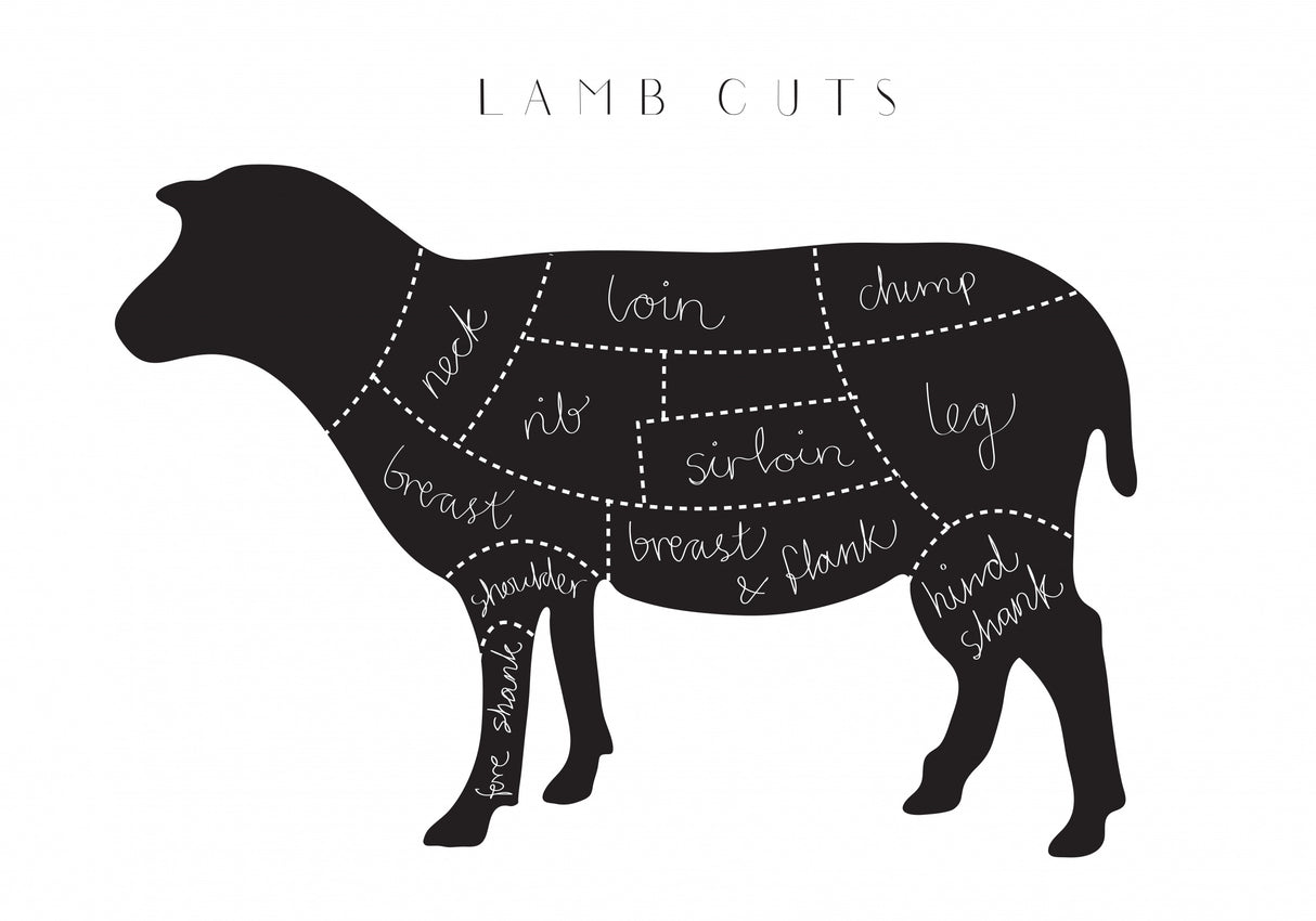 Lamb Cuts Poster och Canvastavla