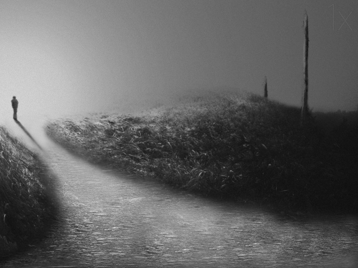 Chemin des brumes V Poster och Canvastavla