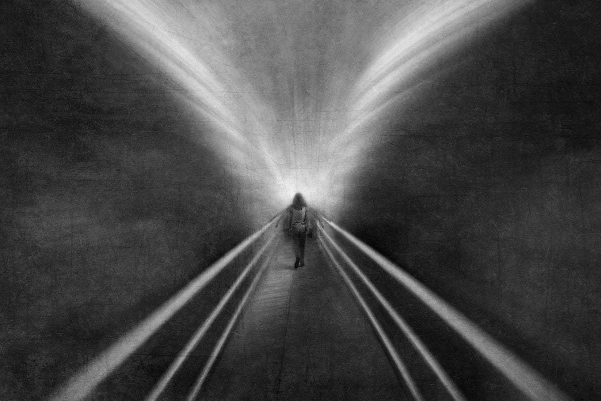Into the wing of light Poster och Canvastavla