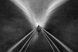 Into the wing of light Poster och Canvastavla