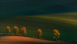 Shadows on the fields.... Poster och Canvastavla