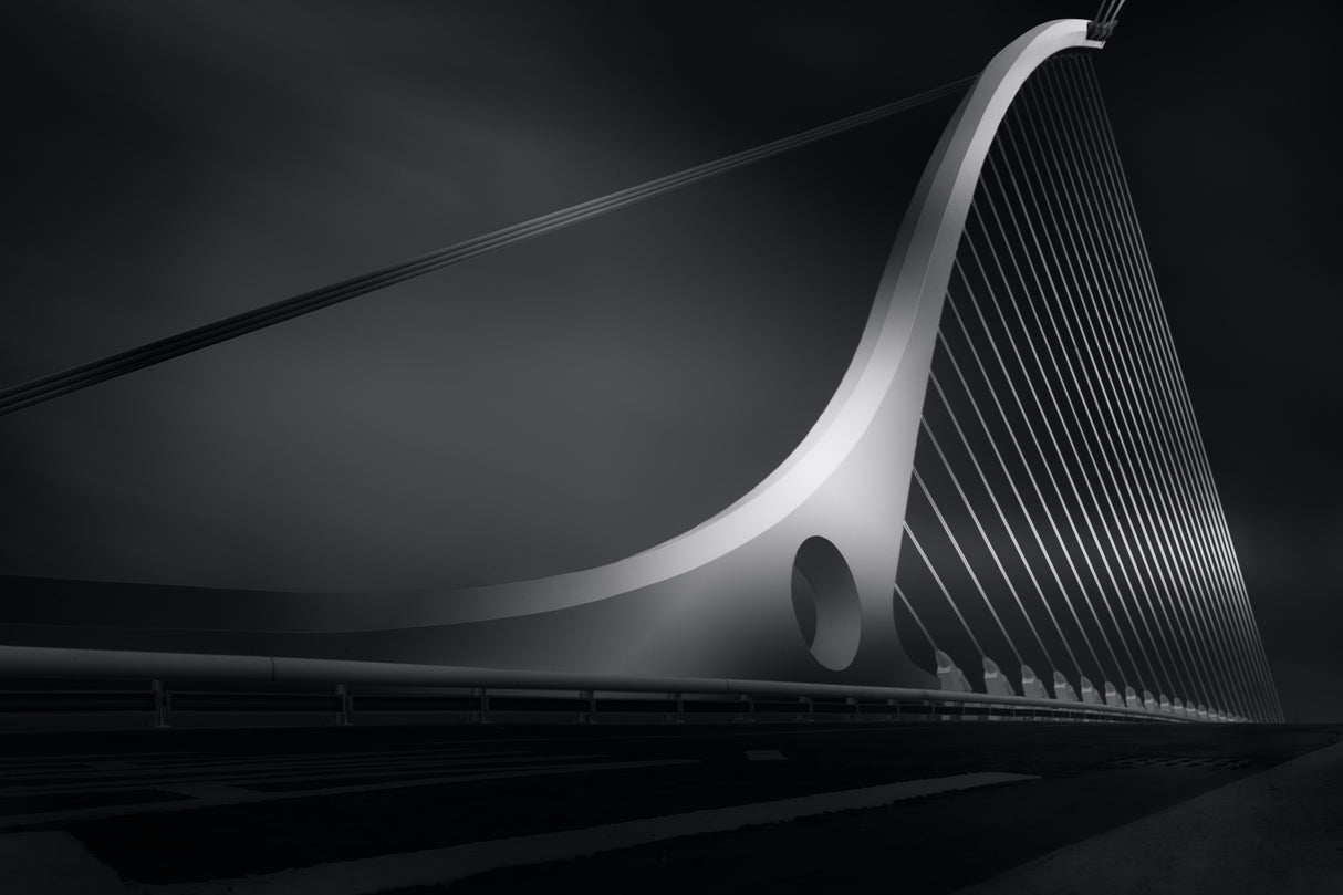 Harp Poster och Canvastavla