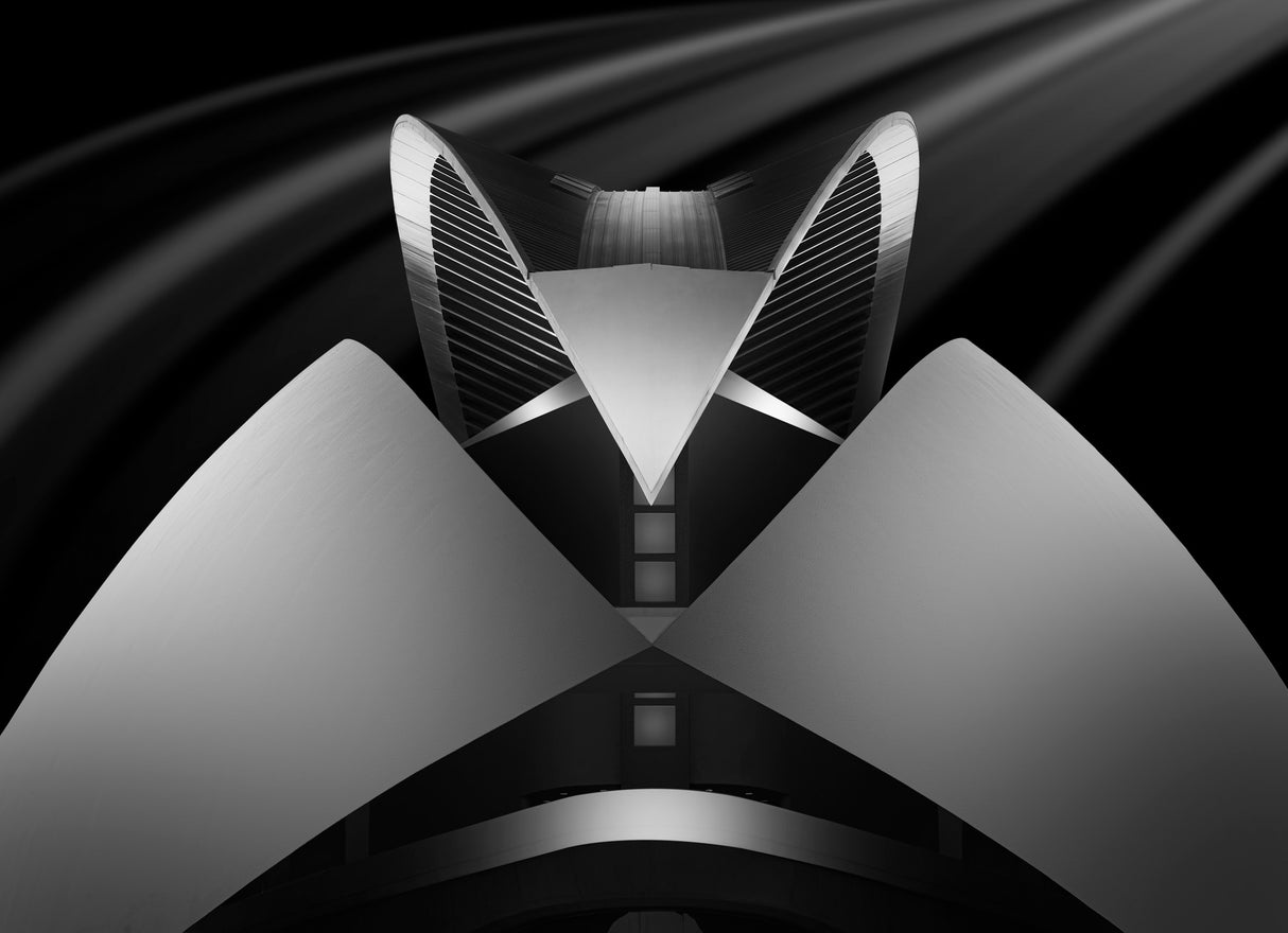 Warrior helmet Poster och Canvastavla