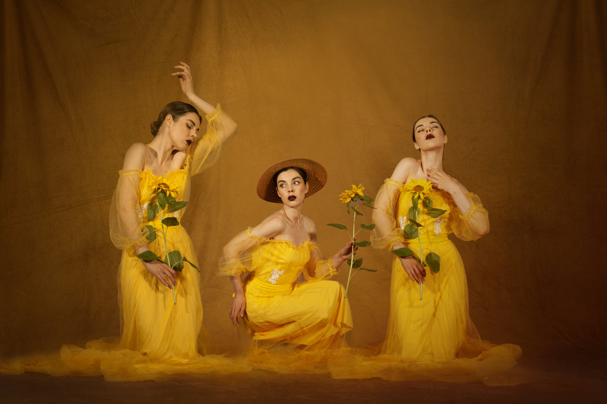 les tournesols Poster och Canvastavla