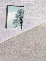 Oblique visions Poster och Canvastavla