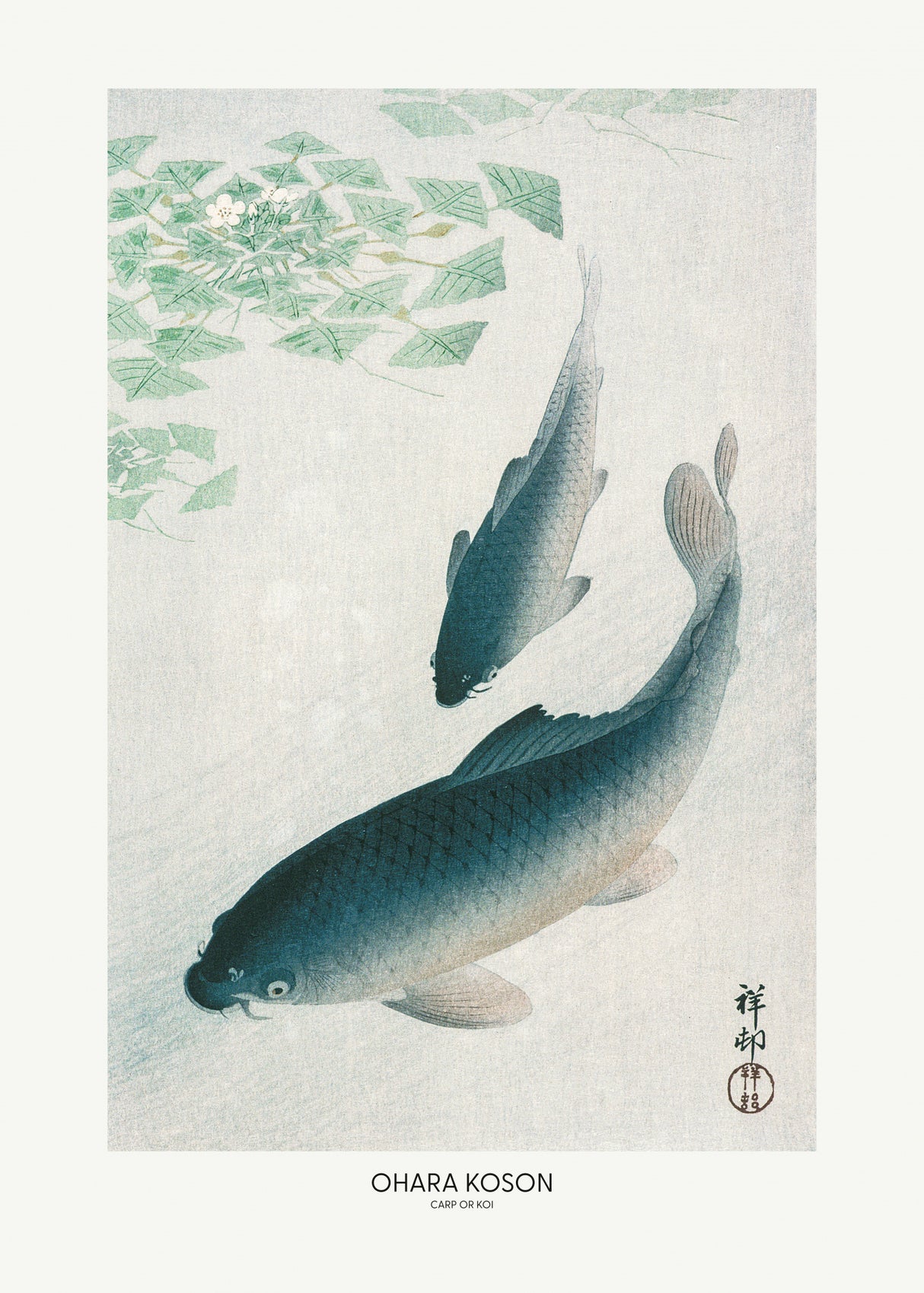 Carp Or Koi Poster och Canvastavla