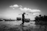 The Seaweed Farmer Poster och Canvastavla