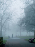 City Fog Poster och Canvastavla