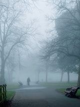 City Fog Poster och Canvastavla