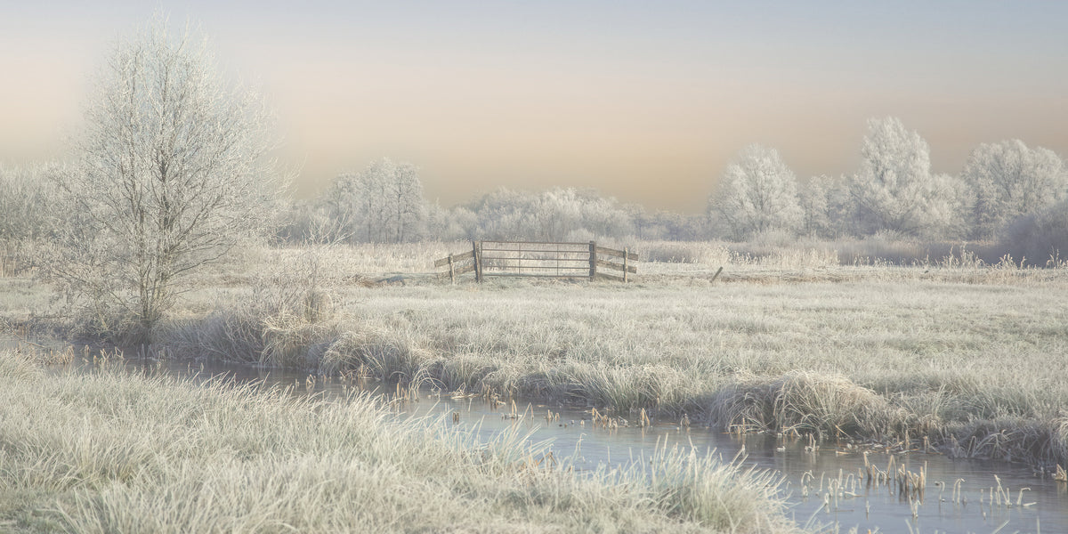 winter in the wieden Poster och Canvastavla