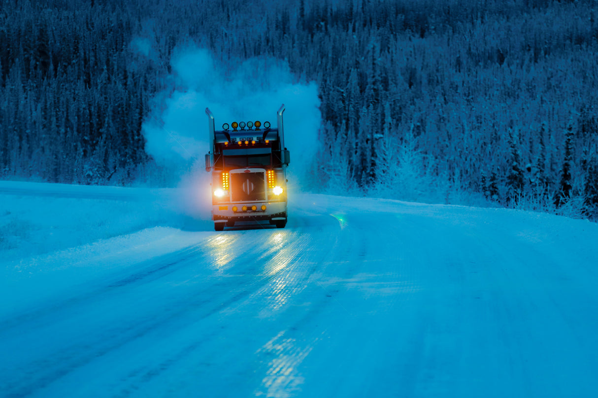 Beast on the Road Poster och Canvastavla