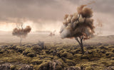 desolation Poster och Canvastavla