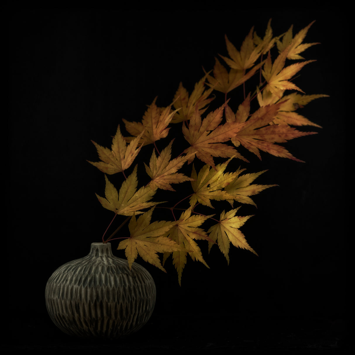 Still life Poster och Canvastavla