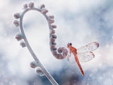Frosty Hopper Poster och Canvastavla