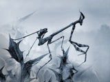 Mantis palo Poster och Canvastavla