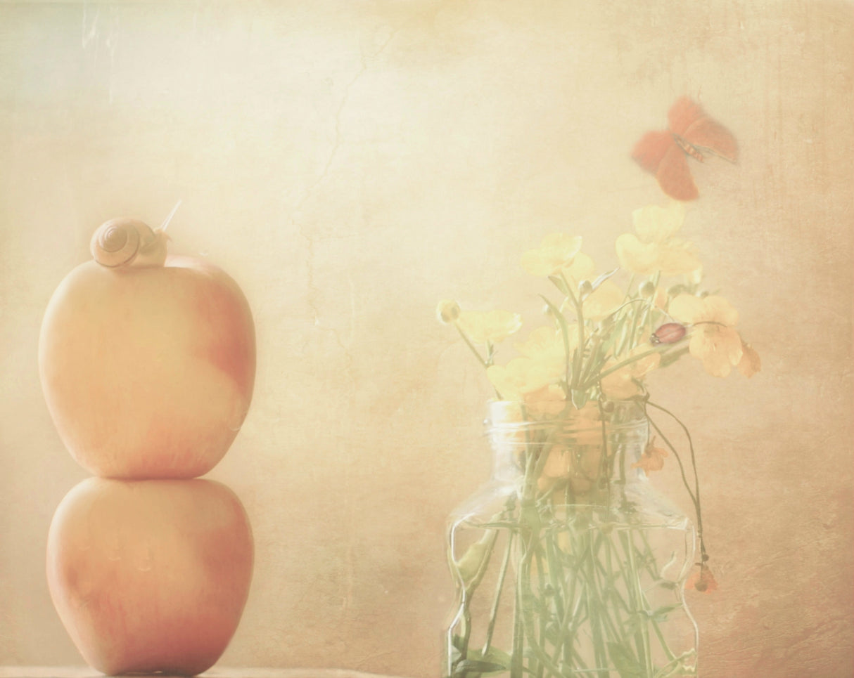 Happy Day of Spring Poster och Canvastavla