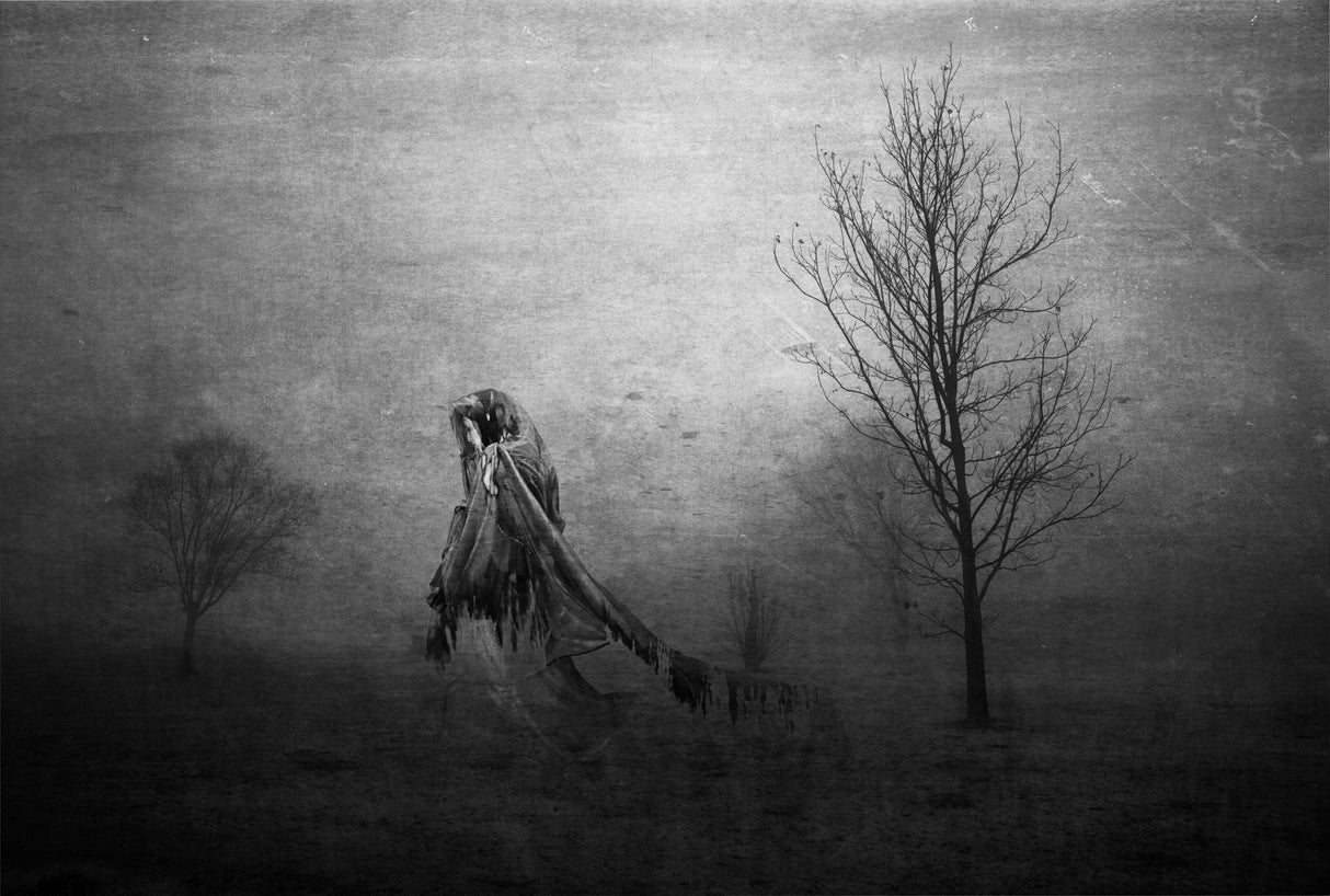 The wounds of neglect and of time Poster och Canvastavla