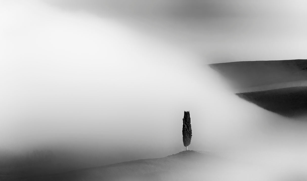 Foggy Morning Poster och Canvastavla