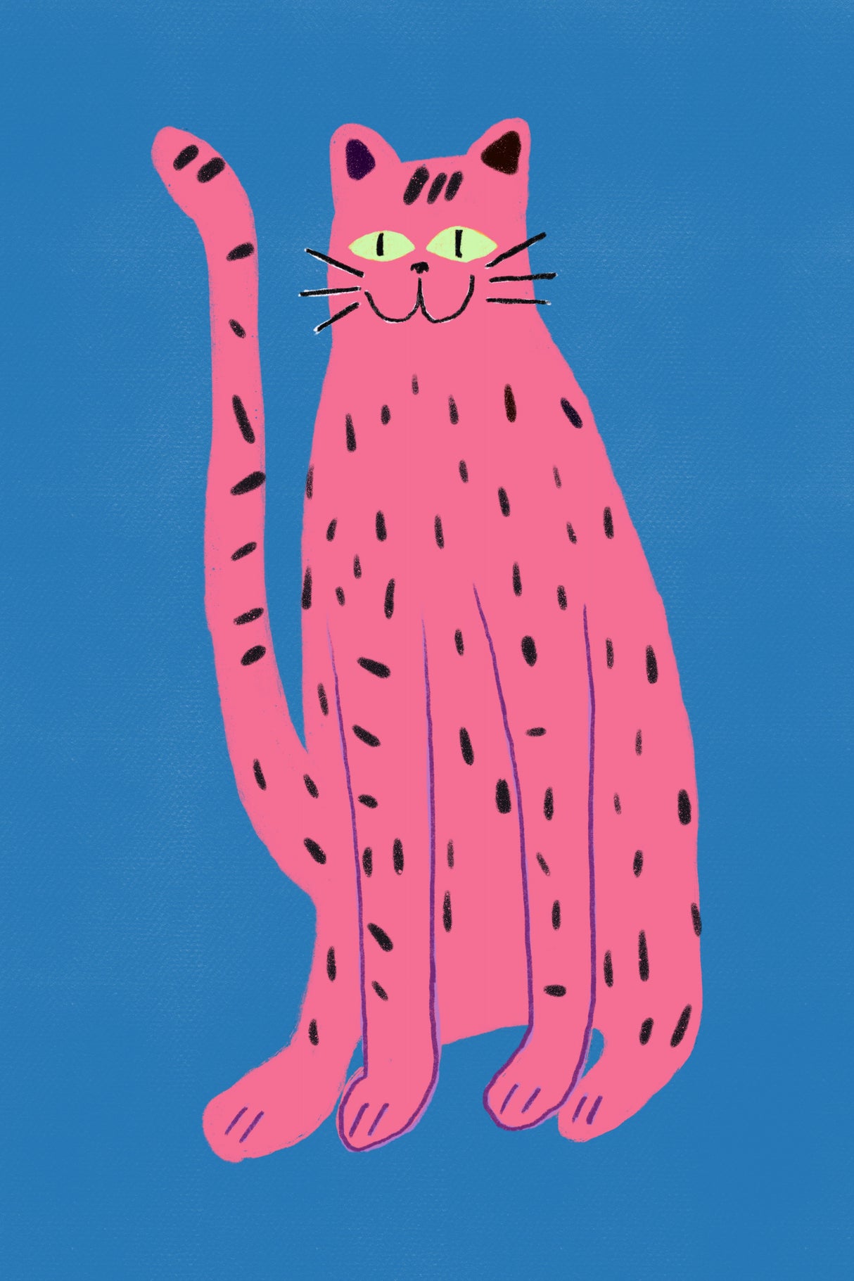 Pink cat Poster och Canvastavla