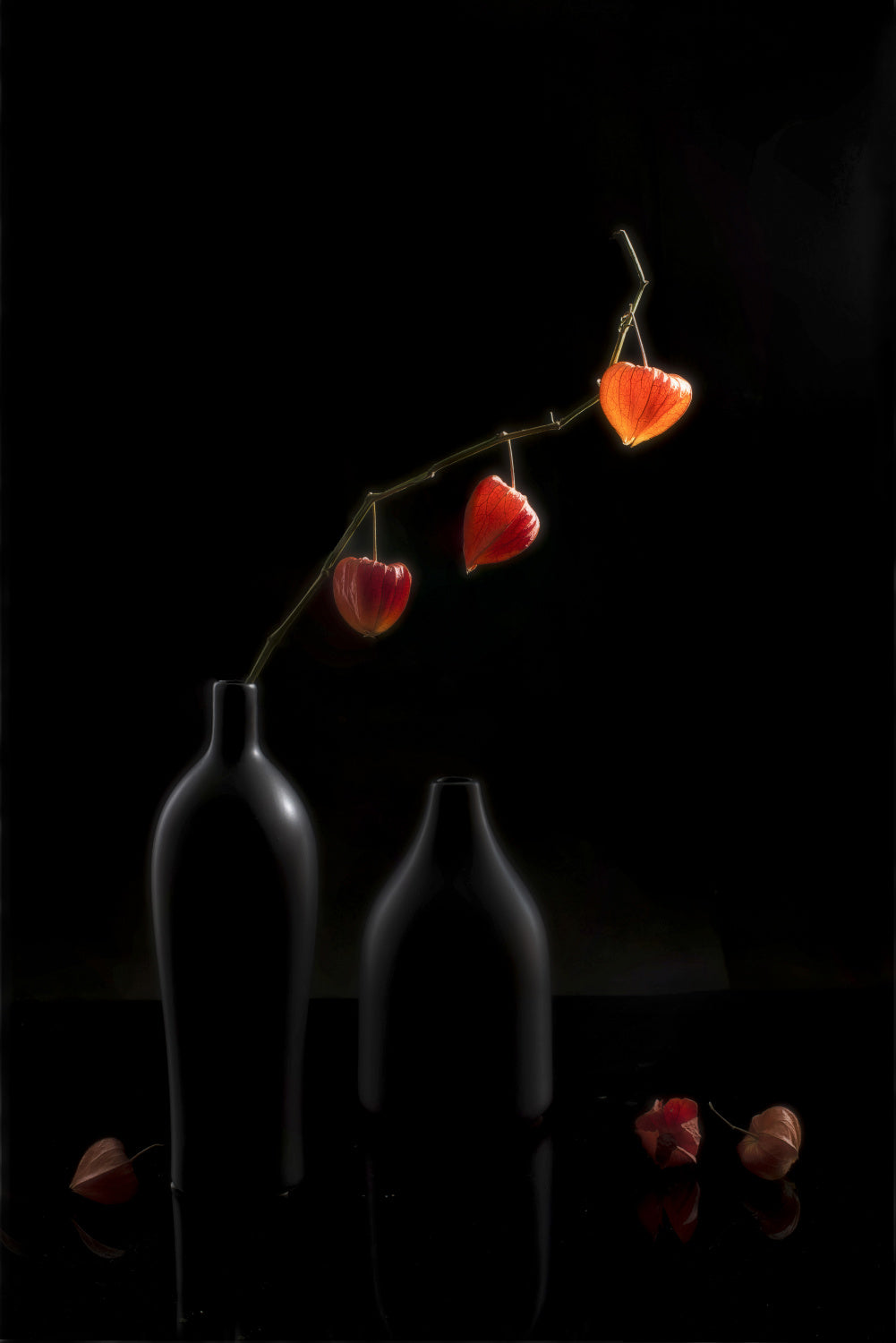 Red and black Poster och Canvastavla