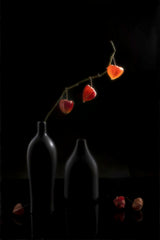 Red and black Poster och Canvastavla