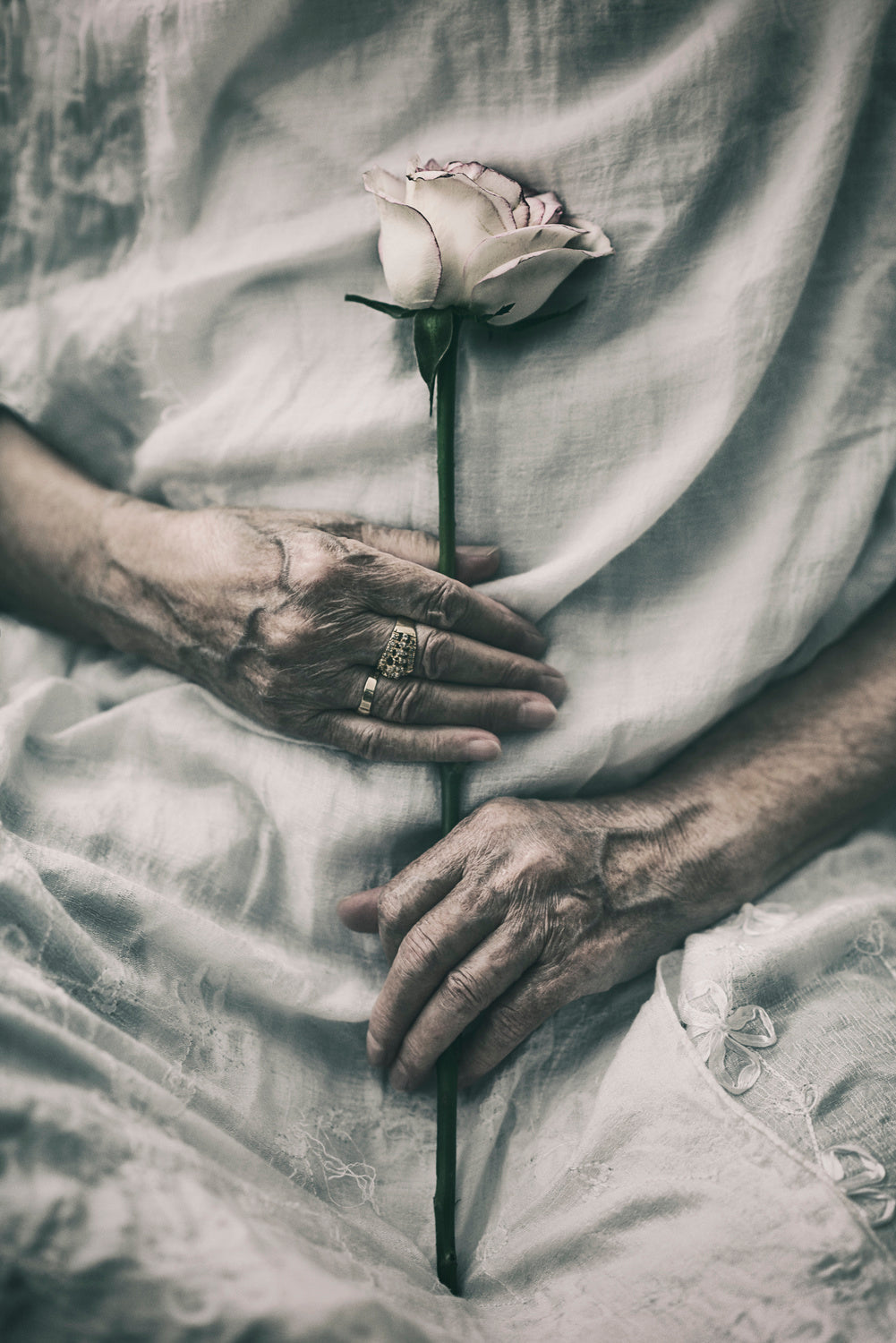 Ageless Beauty Poster och Canvastavla