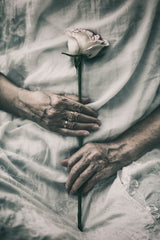 Ageless Beauty Poster och Canvastavla