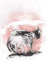 The Cat Poster och Canvastavla