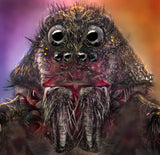 The Monster Poster och Canvastavla