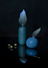 Blue leaves Poster och Canvastavla