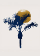 Sunpalm Poster och Canvastavla