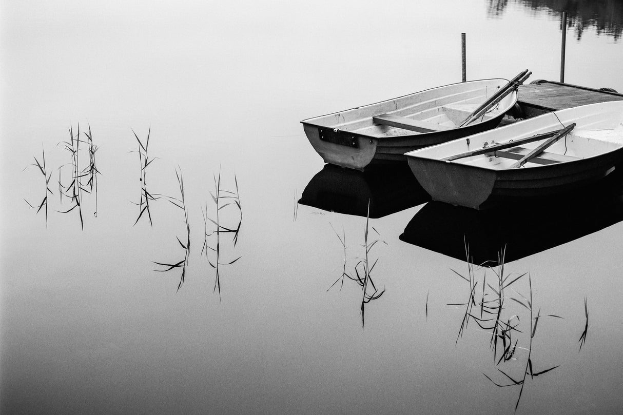 Morning by the lake Poster och Canvastavla