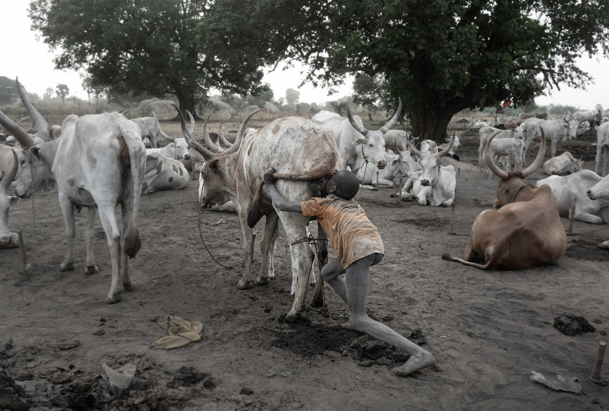 Children’s tasks in a Mundari camp Poster och Canvastavla