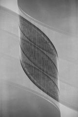 RASEN Poster och Canvastavla